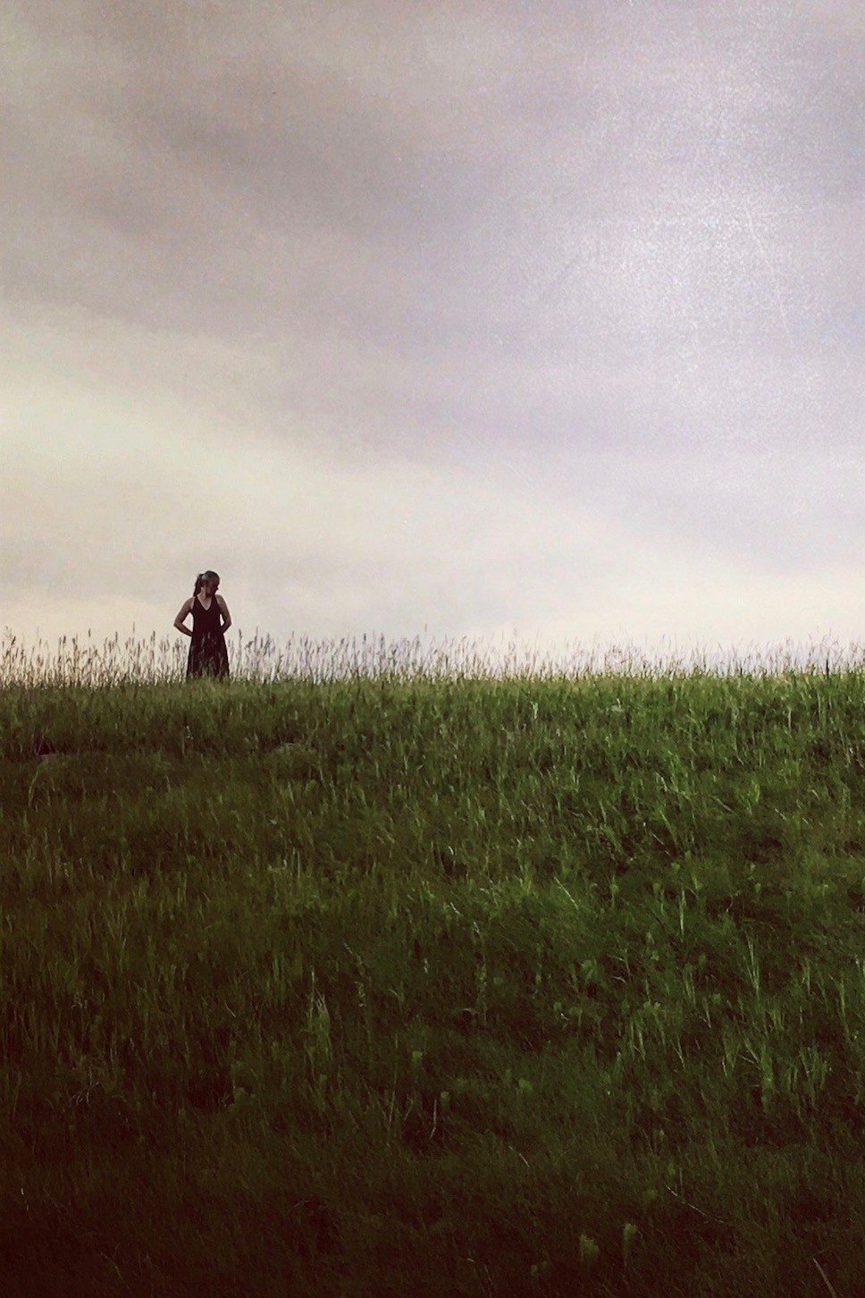 Hard White Spring