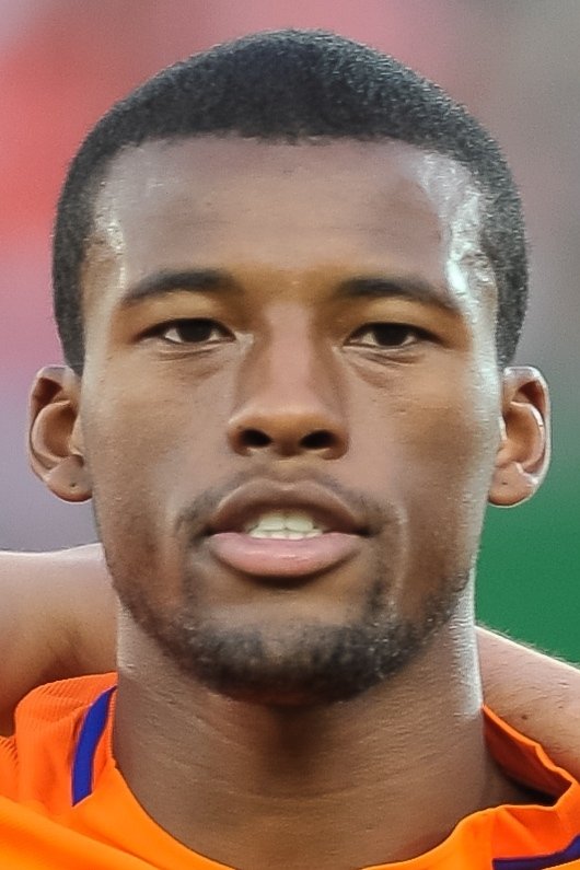 Georginio Wijnaldum image