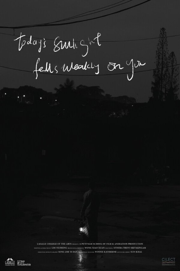 Today's Sunlight Falls Weakly on You