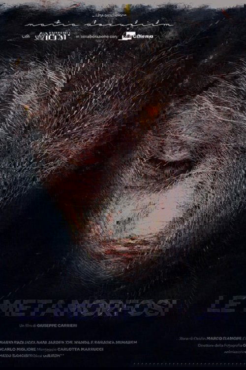 Le metamorfosi