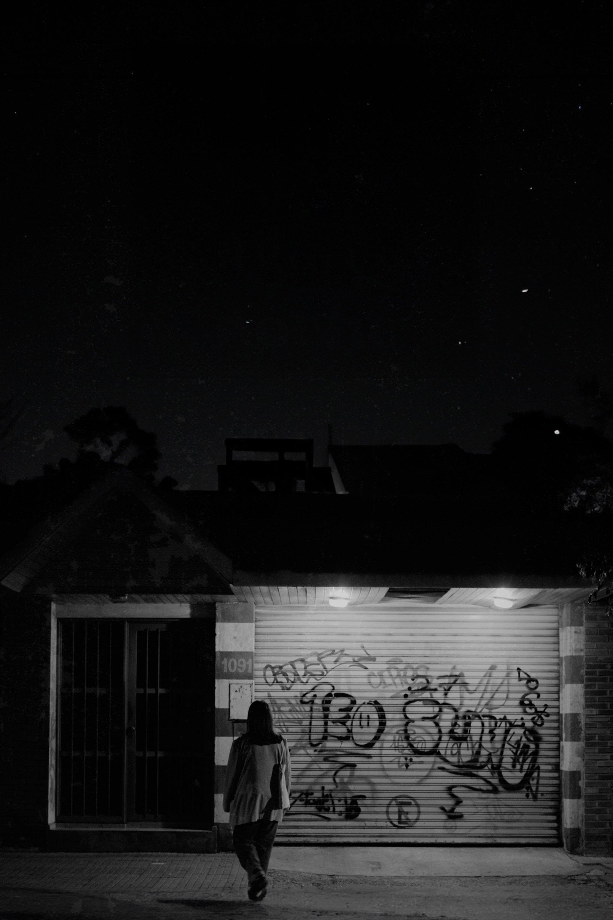 Birds sing at night