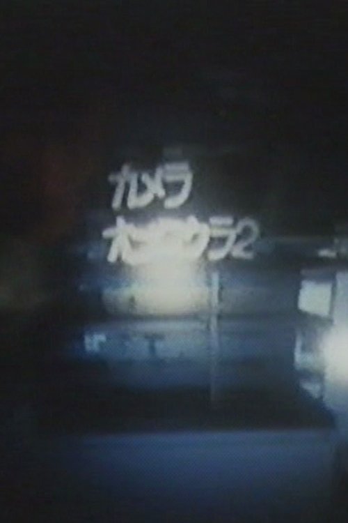 Camera Obscura 2