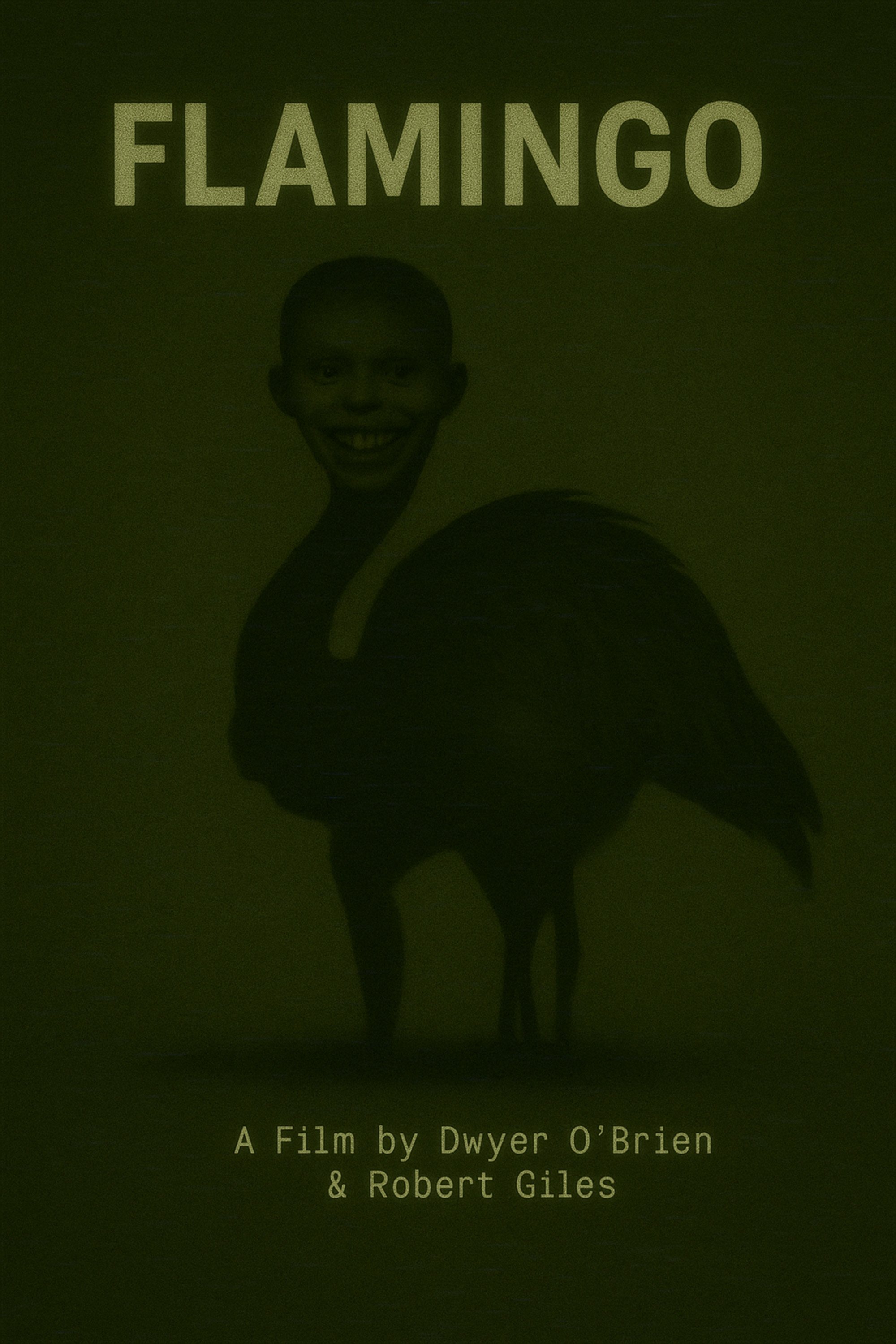 Flamingo