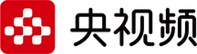 network logo