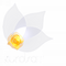 network logo