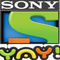 network logo