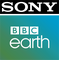 network logo