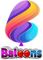 network logo