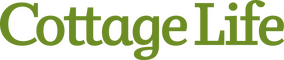 network logo