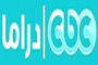 network logo