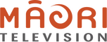 network logo