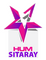 network logo