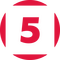 network logo
