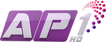 network logo