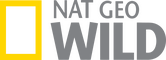 network logo