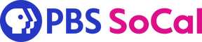 network logo