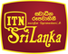 network logo