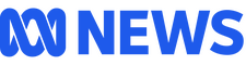 network logo