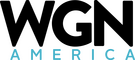 network logo