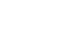 network logo