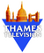 network logo