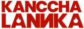 network logo