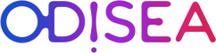 network logo