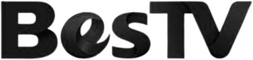 network logo
