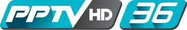network logo