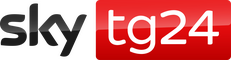 network logo