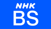 network logo