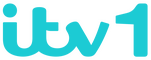 network logo