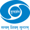network logo