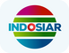 network logo