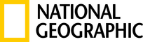 network logo