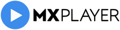 network logo