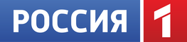 network logo