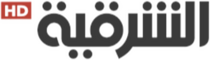 network logo