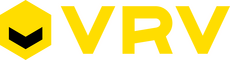 network logo