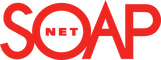 network logo