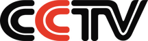 network logo