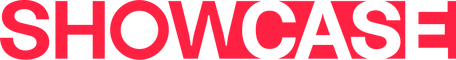 network logo