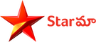 network logo