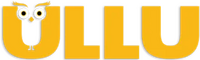 network logo