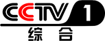 network logo