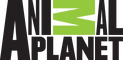 network logo
