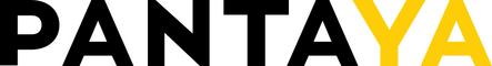 network logo