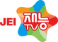 network logo