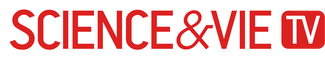network logo