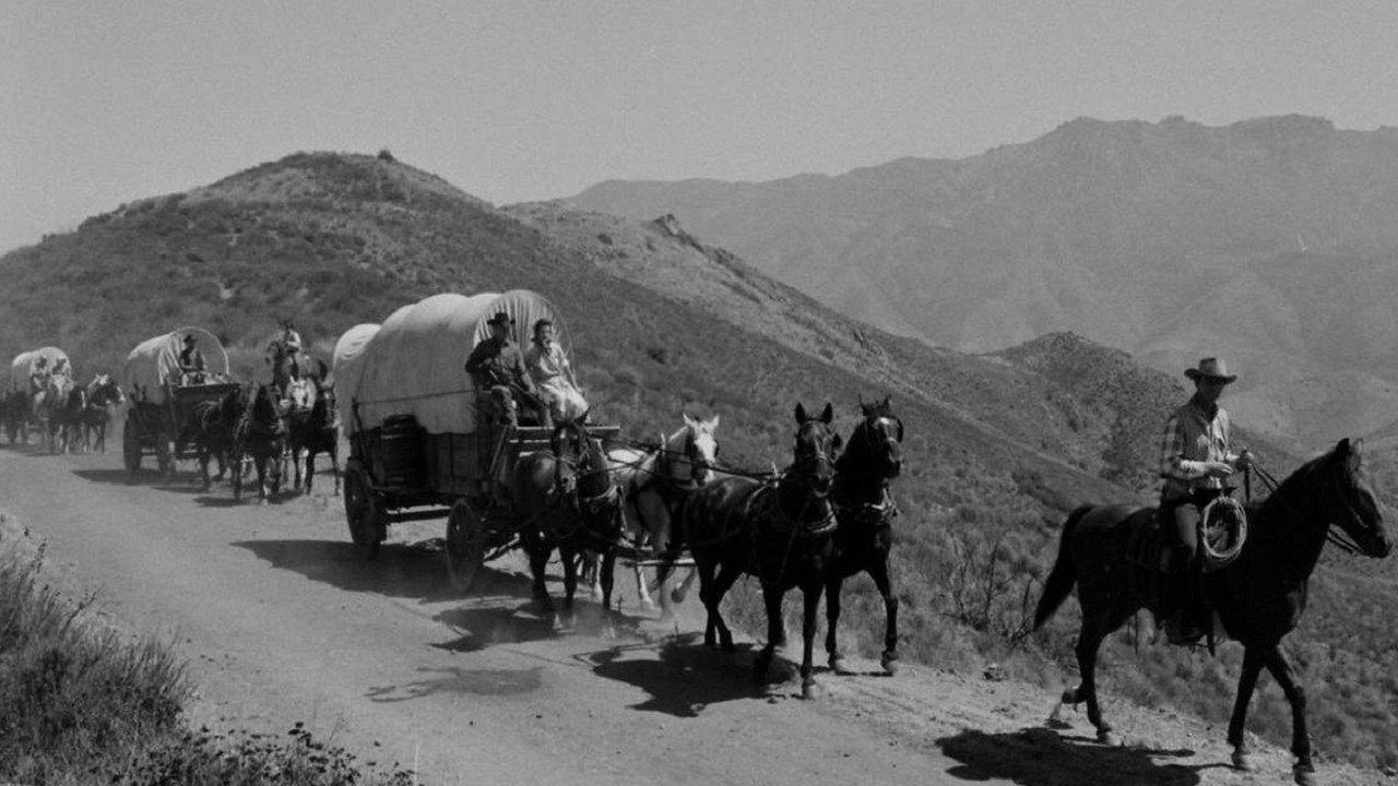Wagon Train Wagon Train